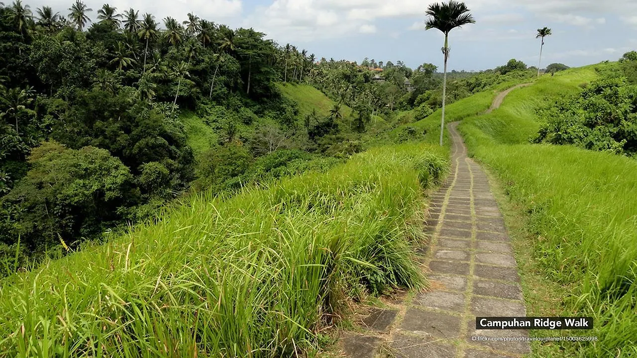 Hotel Zen Rooms Ubud Penestanan 2
